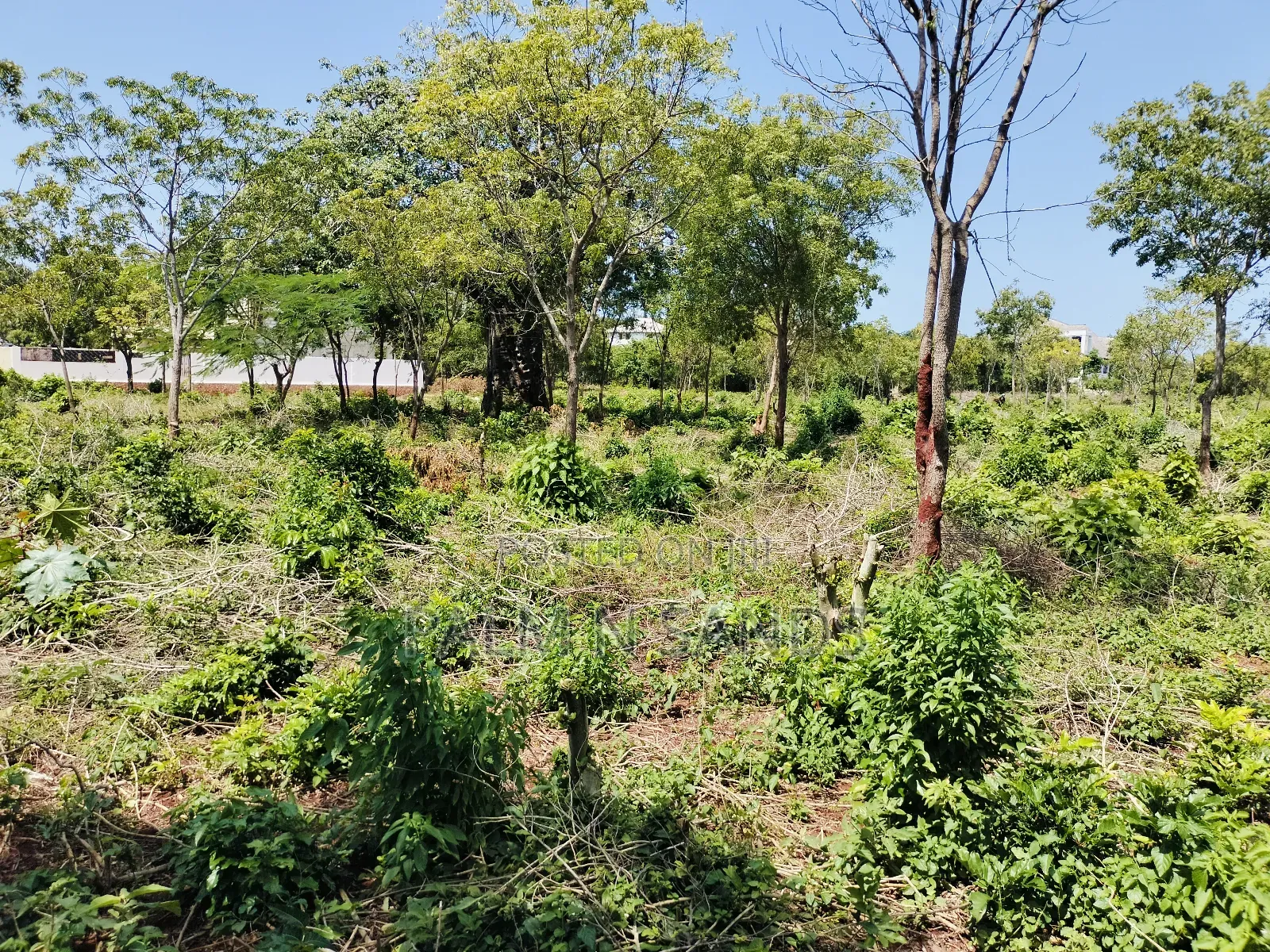 Diani Half Acre Land Near Nomads Beach