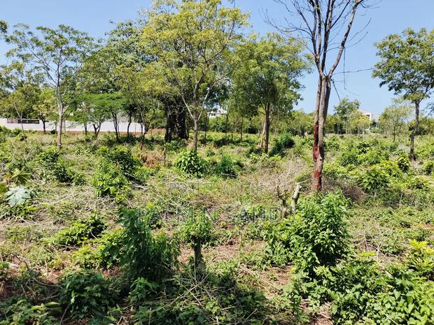 Diani Half Acre Land Near Nomads Beach - thumbnail 9