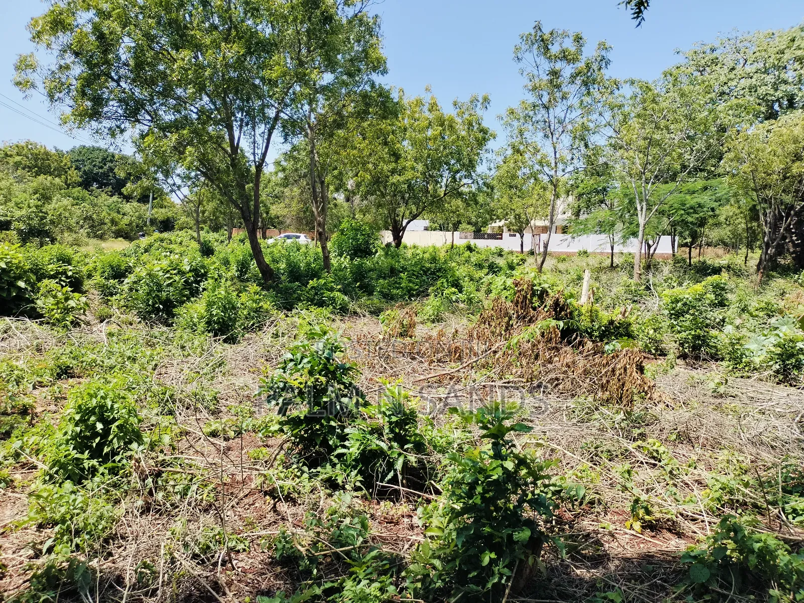 Diani Half Acre Land Near Nomads Beach