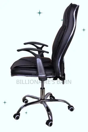 Office; Clean Leather Chair With Padded Armrests
