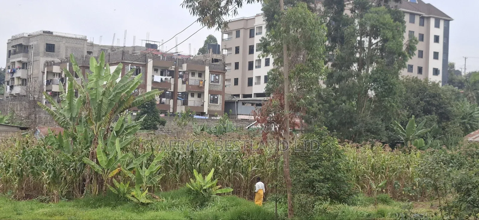 62x100 Available Plot for Sale in Gitaru
