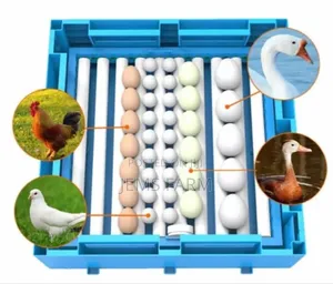 Fully Automatic 128eggs Ac/Dc Incubator With Accessories