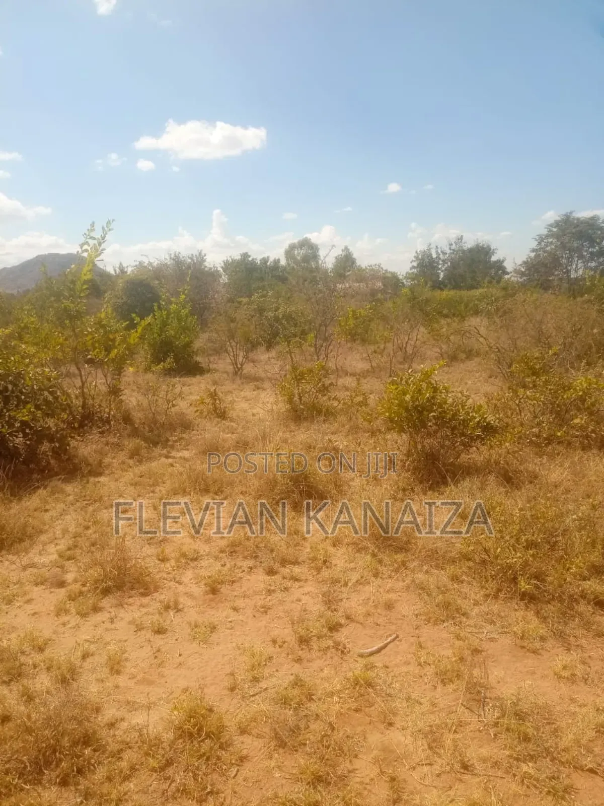 Commercial Plots Along Kaewa-ilani Marked For Tarmacking Road For Sell