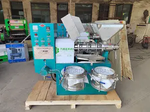 Automatic Oil Press Soybean Peanut Screw Oil Press Kenya for Sale
