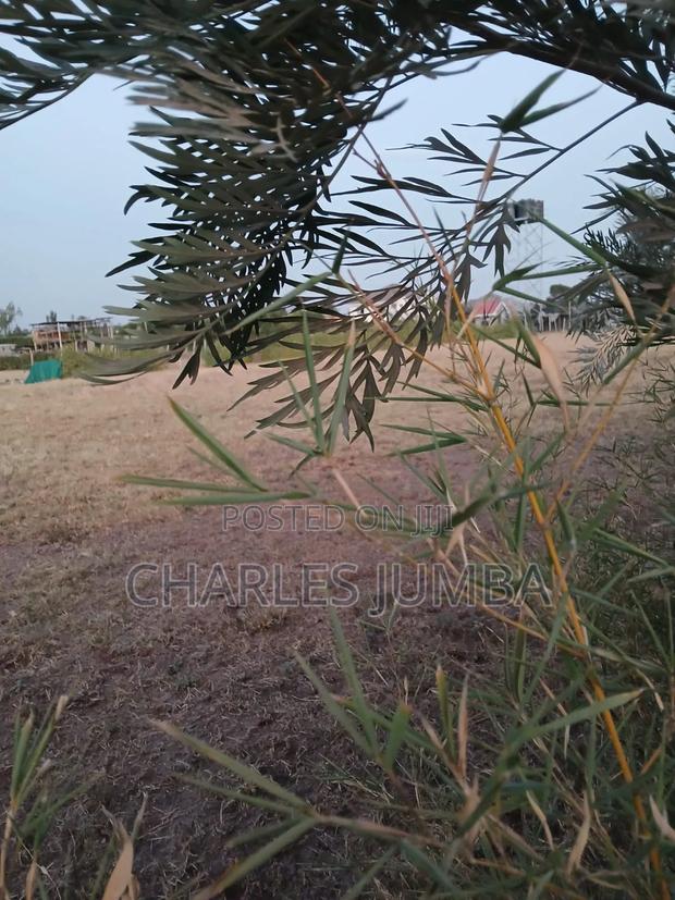 One Acre Plot - thumbnail 8