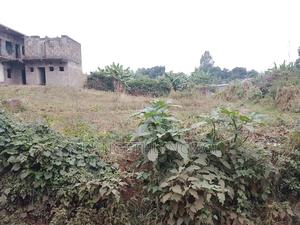 100x100 Commercial Plot Ndumberi - main view