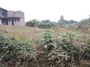 100x100 Commercial Plot Ndumberi