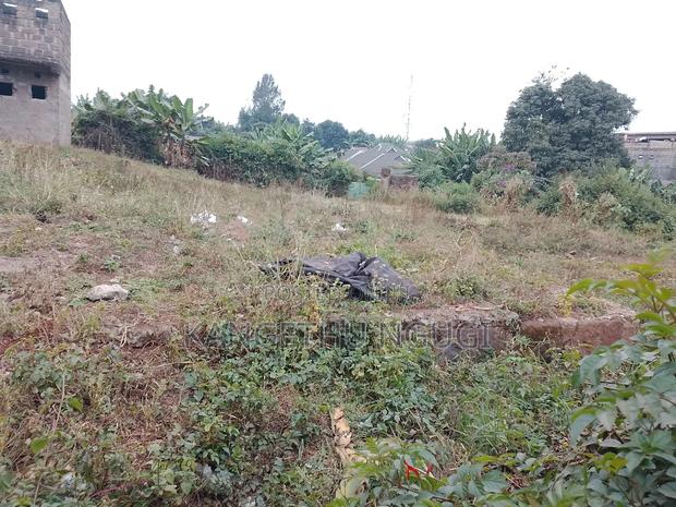 100x100 Commercial Plot Ndumberi - thumbnail 2