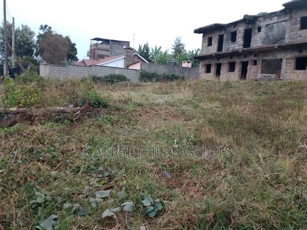 100x100 Commercial Plot Ndumberi - thumbnail 4