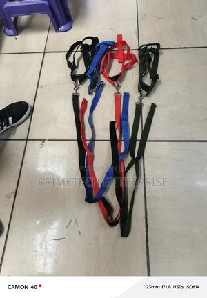 Dog Leash, Dog Leashes - thumbnail 2