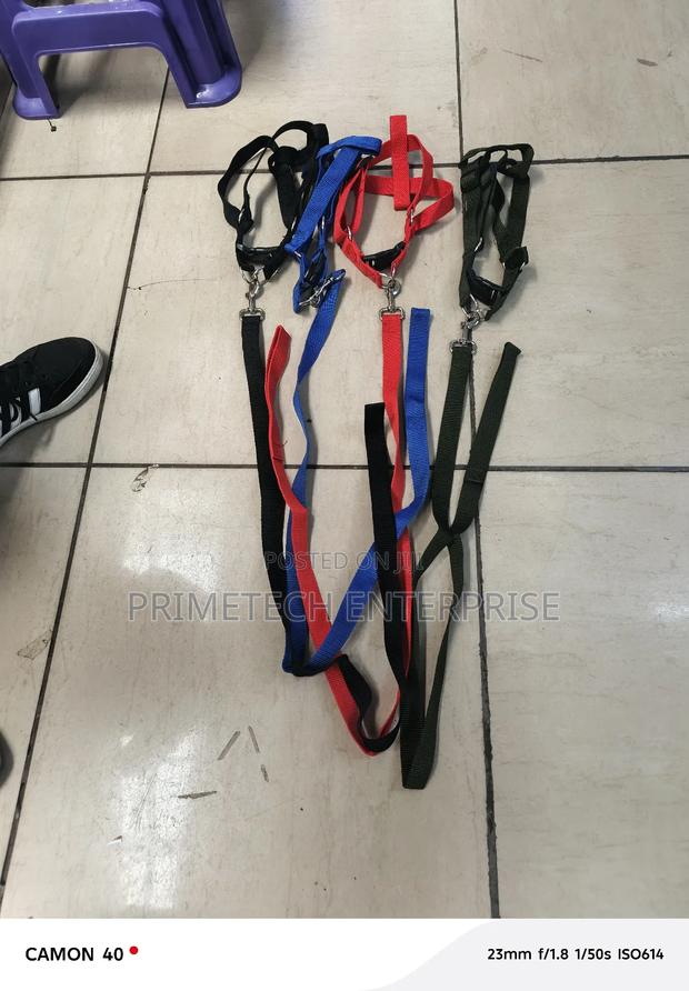 Dog Leash, Dog Leashes - main view