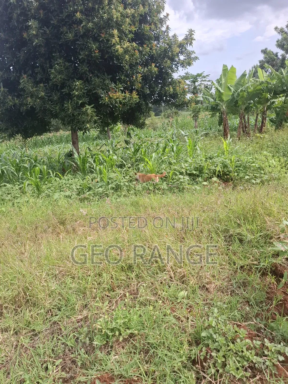 1 1⁄2 Acres