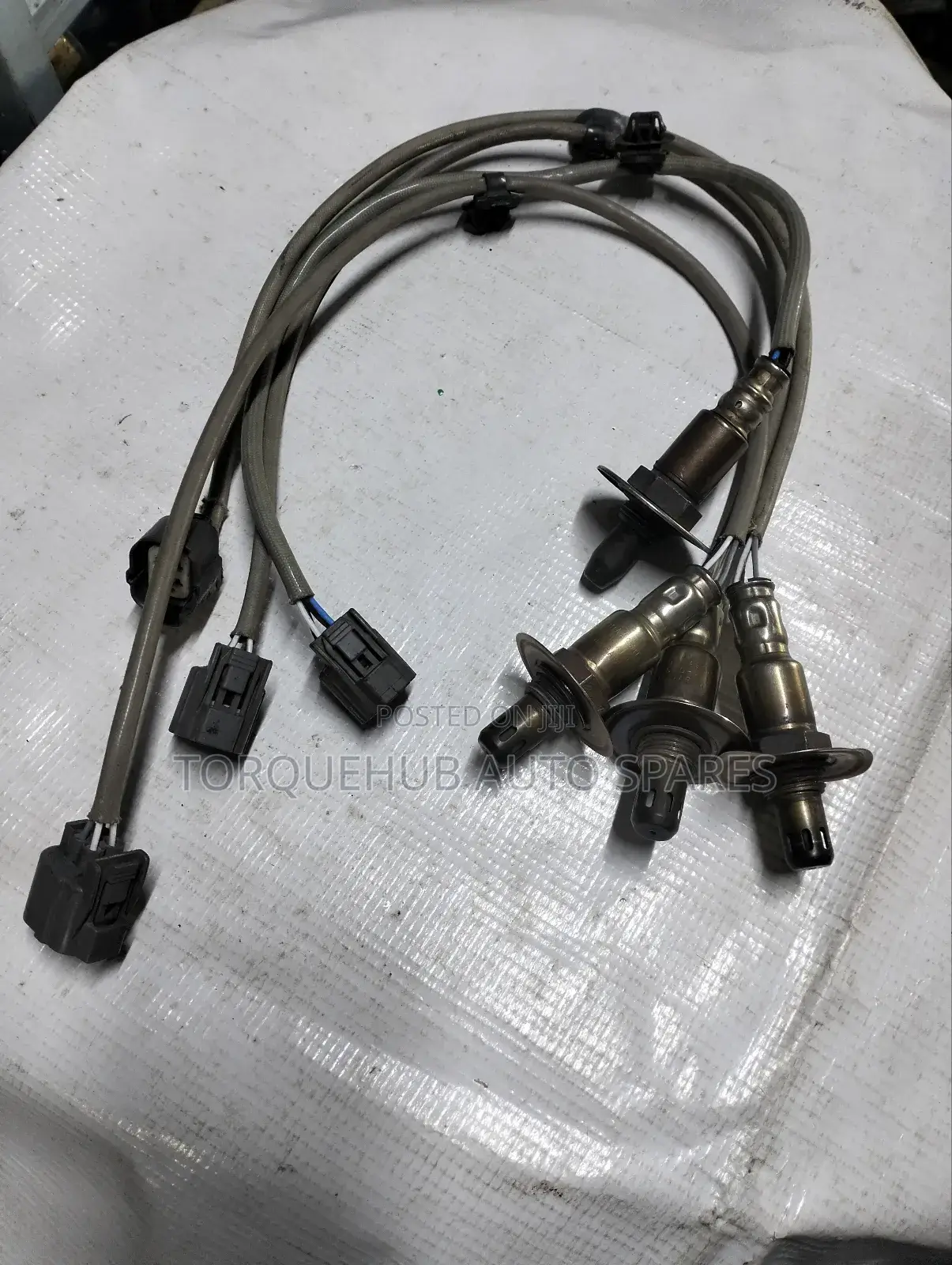 Subaru Exiga Oxygen Sensors