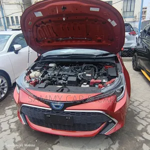 Toyota Corolla Hatchback 2019 Orange