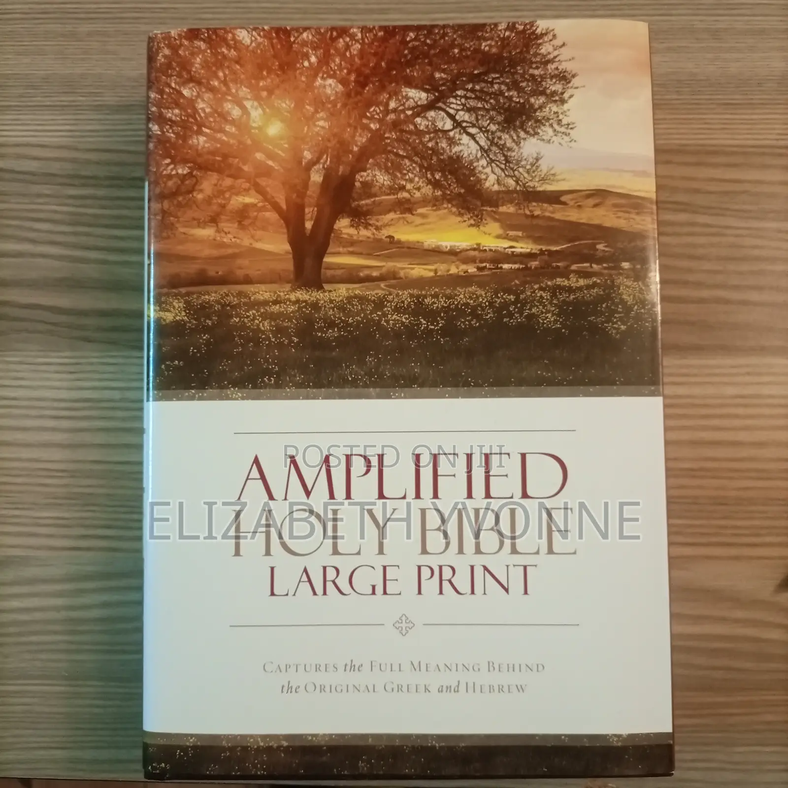 Bible. Large Print. Amplified Version.