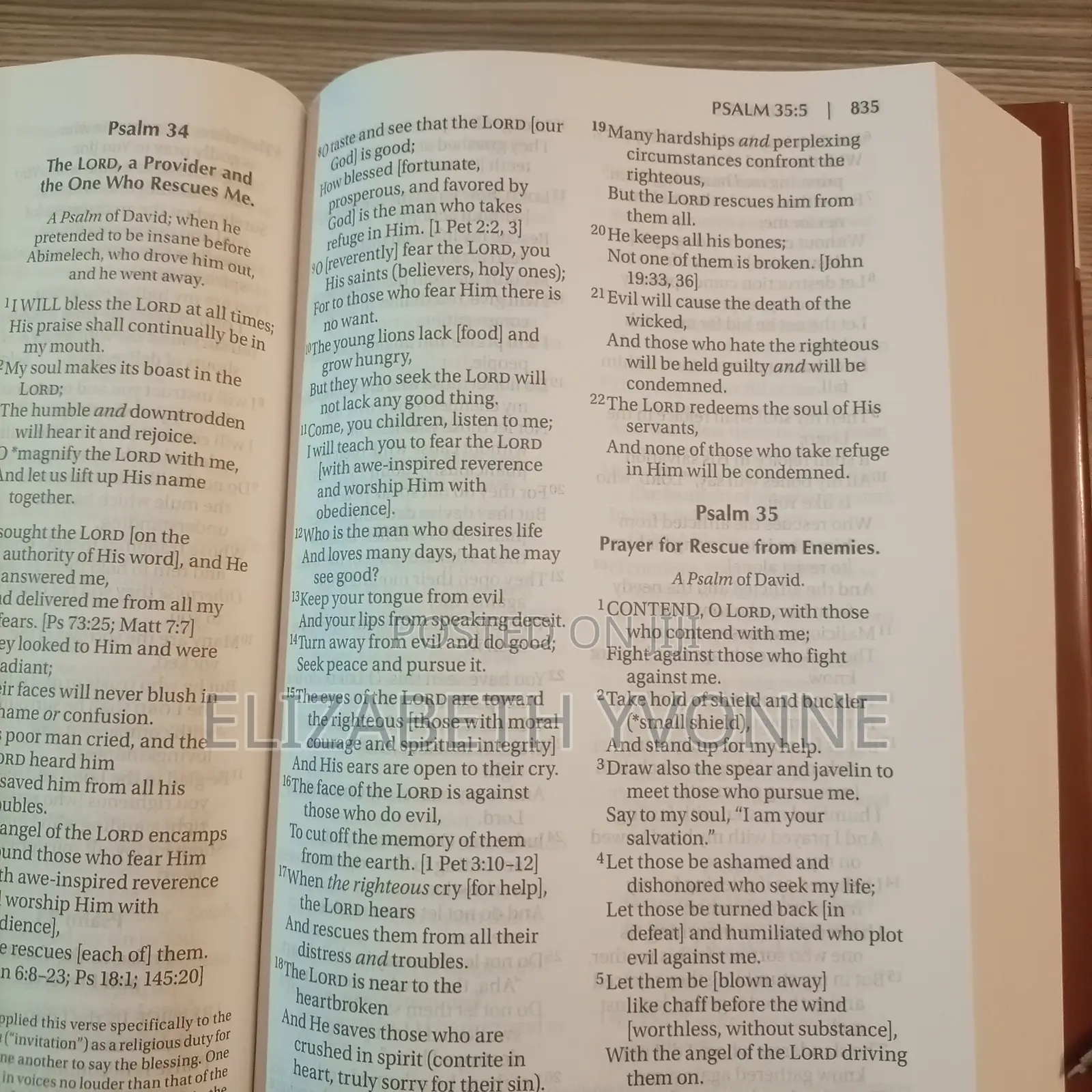 Bible. Large Print. Amplified Version.