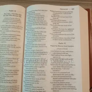 Bible. Large Print. Amplified Version.