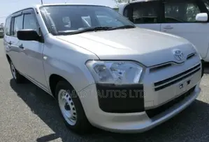 Toyota Probox 1.5 DX 2WD 2019 Silver