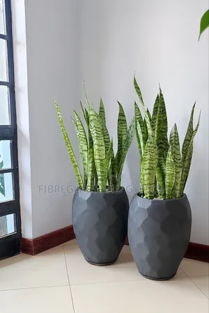 Flower Pots