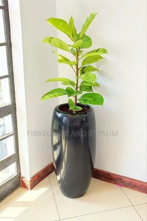 Flower Pots ( Fibreglass Flower Pots)