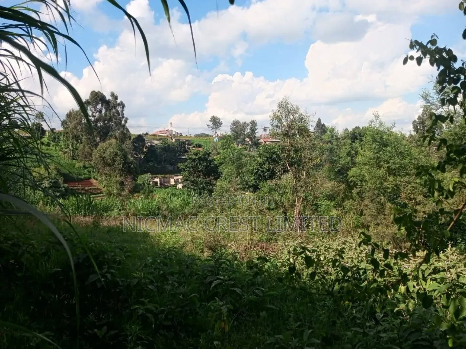 Prime 50 by 100 Plots for Sale