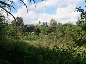 Prime 50 by 100 Plots for Sale