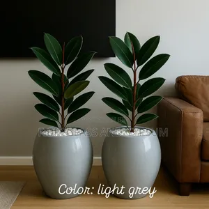 Premium Fibreglass Flower Pots