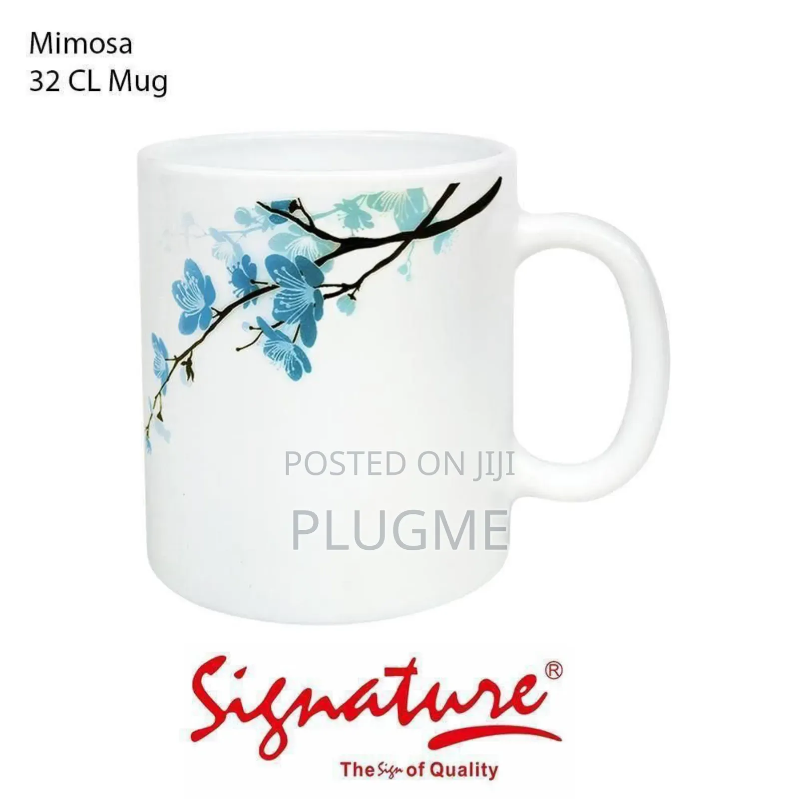 6pc Set of 6 Signature Cups