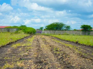 Kitengela Plains 2 Gardens, 50 by 100 Plots, 1.35 Million