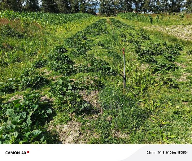 Prime 5 Acres Land Along the Ndunyu Njeru Road, Kinangop. Has Water.