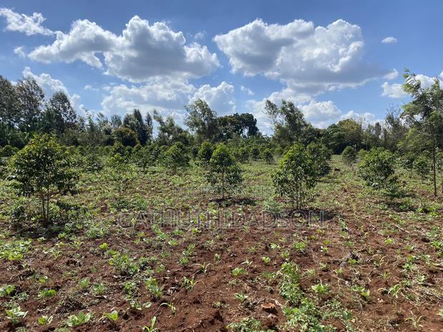 100*100 for Sale in Ngemwa, Ikinu - main view