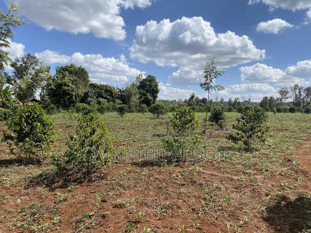 100*100 for Sale in Ngemwa, Ikinu - thumbnail 2