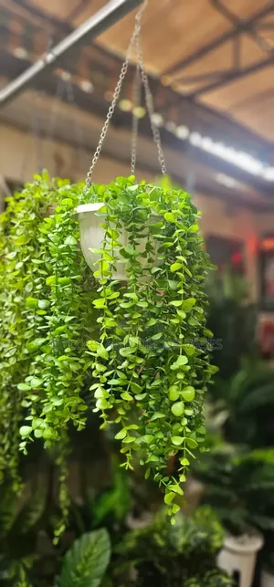 Outdoor Vines and Vases Plastic