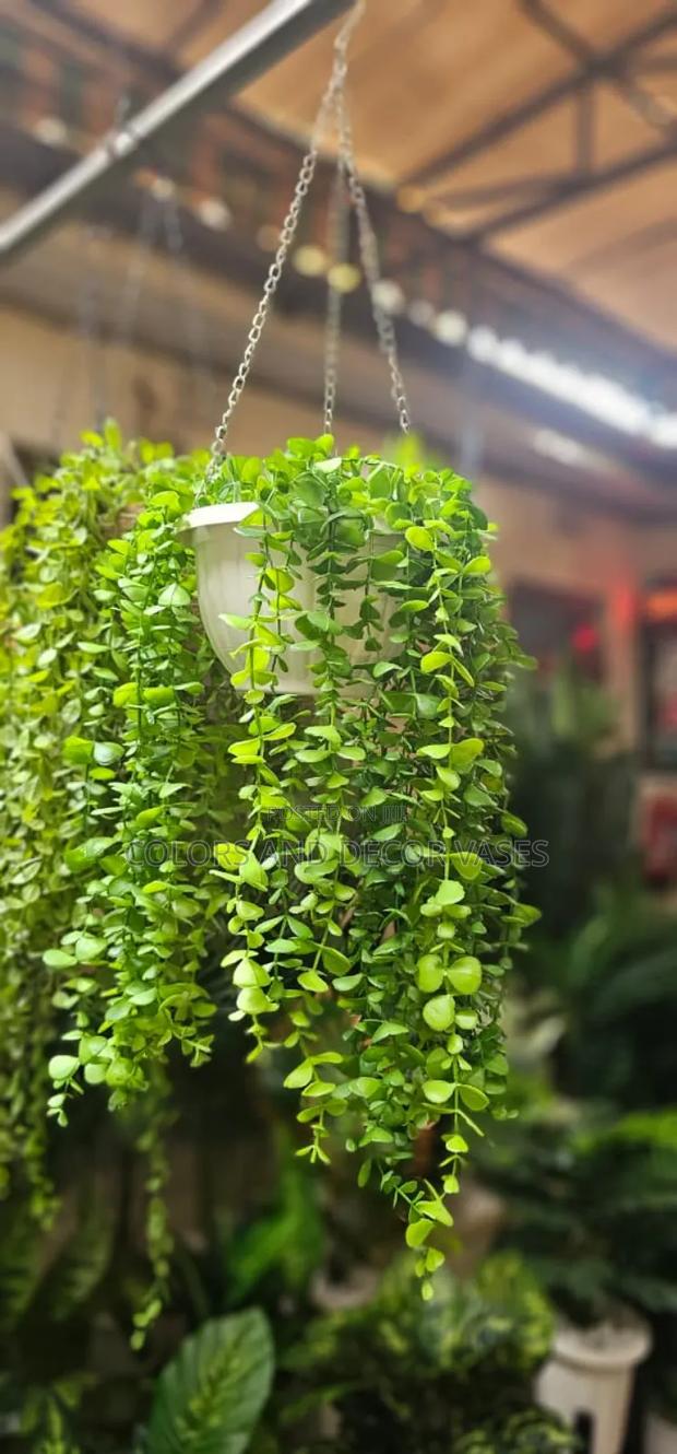 Outdoor Vines and Vases Plastic