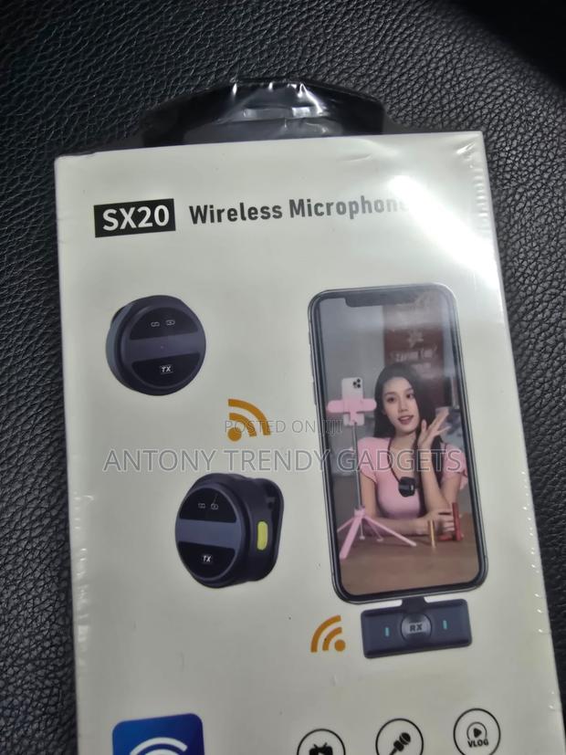 Sx20 Dual Wireless Mics for Karaoke, Events Speeches