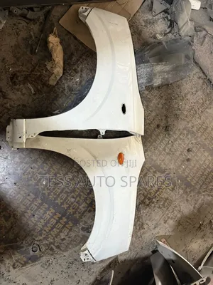 Suzuki Alto 2012 Fenders