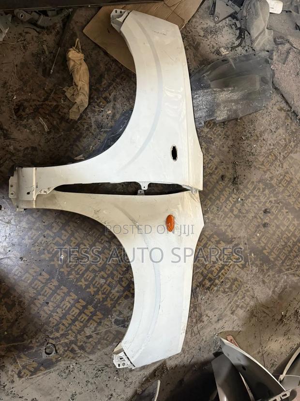 Suzuki Alto 2012 Fenders