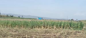 50×100 Plots for Sale - thumbnail 2