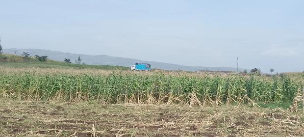 50×100 Plots for Sale - main view