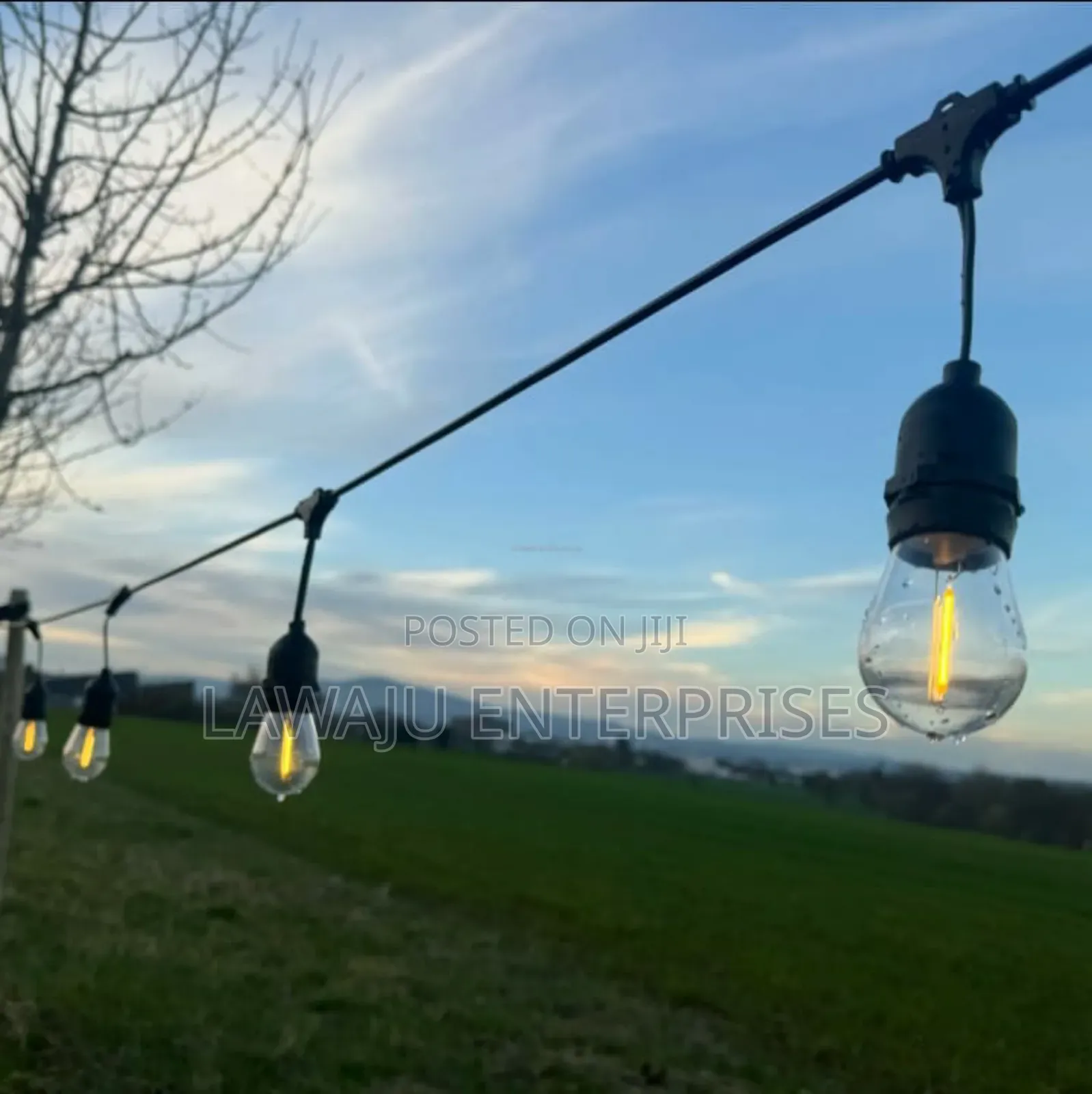Light Bulbs