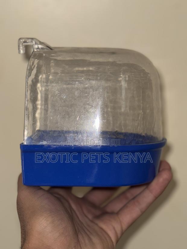 Bird Bath for Sale - thumbnail 3