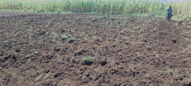 50×100 Plots for Sale - thumbnail 3