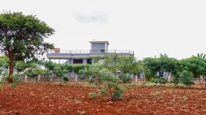 Thika Greens 1/2 Acre for Sale - thumbnail 2