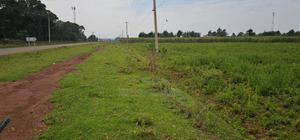 Commercial Plots Touching Highway Illula Eldoret - thumbnail 2