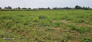 Commercial Plots Touching Highway Illula Eldoret