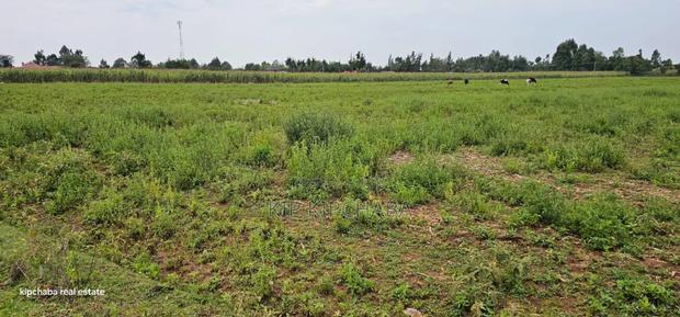 Commercial Plots Touching Highway Illula Eldoret - thumbnail 3