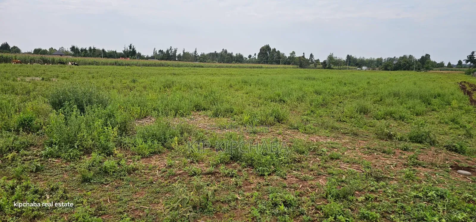 Commercial Plots Touching Highway Illula Eldoret