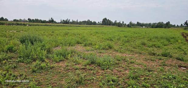 Commercial Plots Touching Highway Illula Eldoret - thumbnail 6