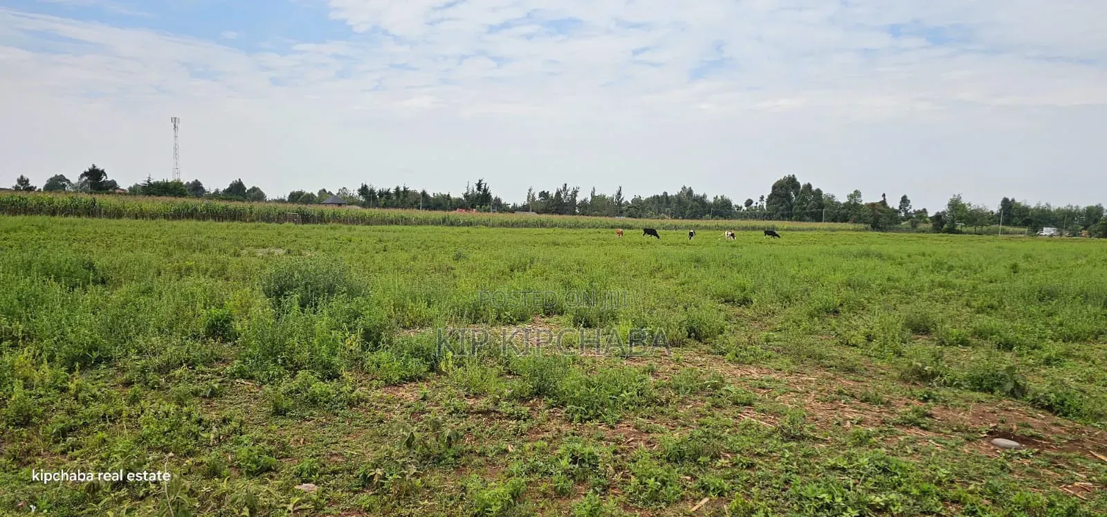 Commercial Plots Touching Highway Illula Eldoret