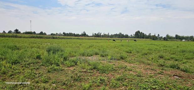 Commercial Plots Touching Highway Illula Eldoret - thumbnail 7